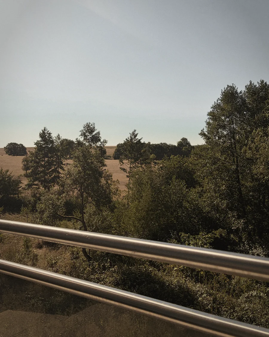 Blick von der Terrasse über Bäume und Felder